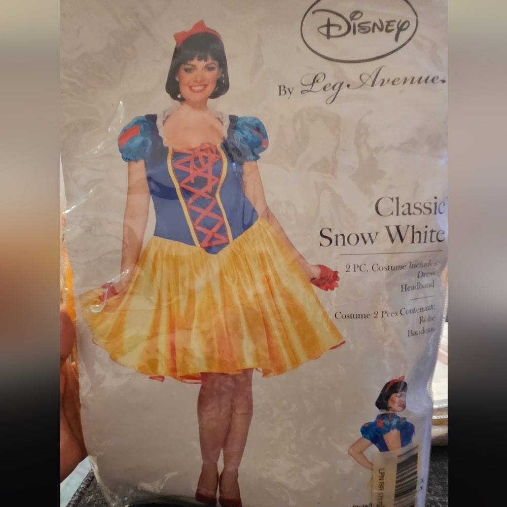 Disney Snow White Costume